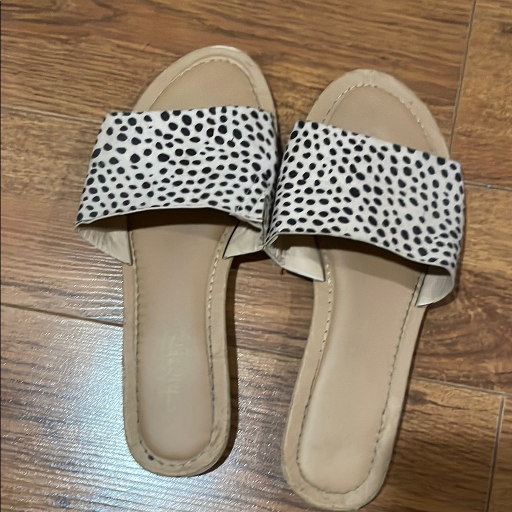 Cheetah slides